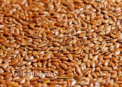 Flax Seeds - Fertility Superfood