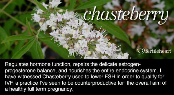 Fertility Herbs - Chasteberry Hormone Balancing Herb
